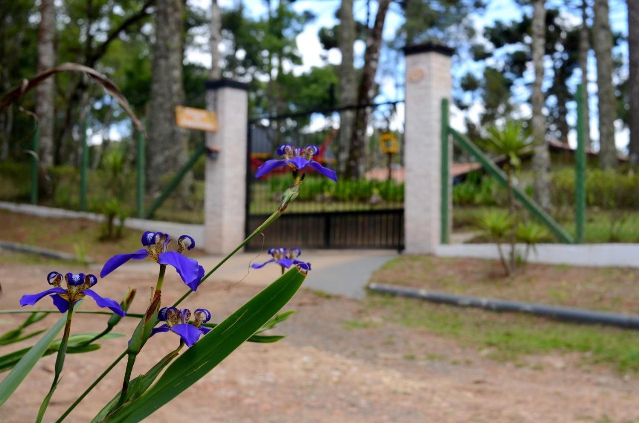 Pousada Paraiso Das Araucarias Hotell Monte Verde  Exteriör bild