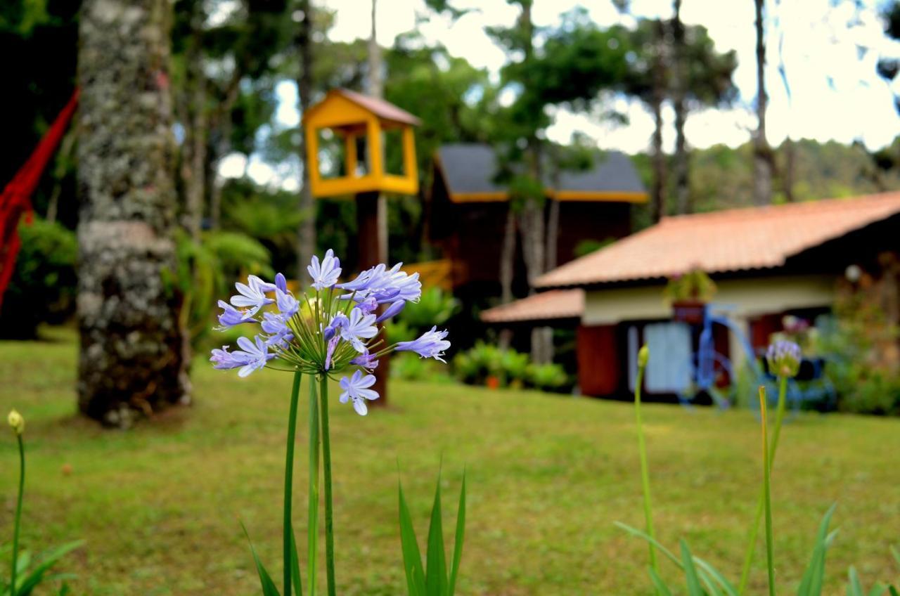 Pousada Paraiso Das Araucarias Hotell Monte Verde  Exteriör bild